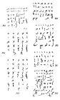 thumbs/birnbaum_hebrew_scripts_ashkenazi_[1574-1619-1670-1753-1825-1928-1928].png.jpg
